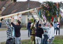 Vo Veľkých Chlievanoch spievala pri stavaní mája aj Folklórna skupina Bukovina