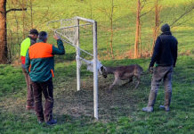 V Ľutove sa zaplietol do futbalovej siete mladý daniel
