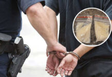 Kriminalisti z Bánoviec odhalili ďalšieho dílera Zakúpený pervitín díler následne predával rôznym odberateľom v Bánovciach nad Bebravou a v okolí.