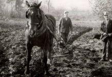 V období pôstu začínali na Gregora prvé práce na poliach Oráč svako Malík z Dvorca